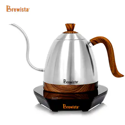 Brewista Artisan 600ml Gooseneck Variable Kettle - Reyach Coffee