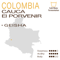 Colombia – Cauca – Finca El Porvenir (Cold Water Fermentation Washed) – Geisha