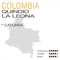 Colombia – Quindio La Leona (Honey)