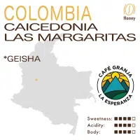 Colombia – Caicedonia – Las Margaritas (Honey) – CGLE Geisha