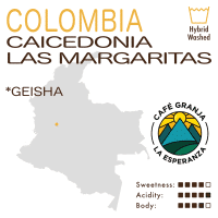 Colombia – Caicedonia – Las Margaritas (Hybrid Washed) – CGLE Geisha