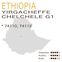 Ethiopia – Yirgacheffe Chelchele G1 (Anaerobic Natural)