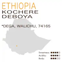 Ethiopia – Biloya Kochere Deboya (Washed)
