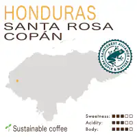 Honduras – Santa Rosa de Copán – SHG EP – RFA (Washed)