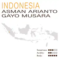 Indonesia – Asman Arianto / Ribang Gayo Musara Cooperative (Fully Washed)