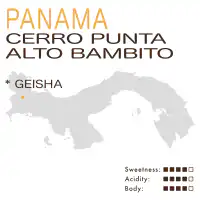 Panama – Cerro Punta – Alto Bambito (Honey) – Geisha