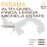 Panama – Alto Quiel – Finca Lerida – Michela Estate (Waterfall Natural) – Geisha