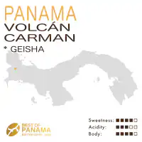 Panama – Volcán Carmen Estate (Natural) – Geisha