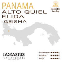 Panama – Alto Quiel – Elida – Lamastus (Anaerobic Slow Dry) – Geisha